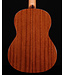Cordoba C5 with Spruce Top