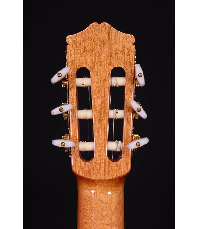 Cordoba C5 with Spruce Top