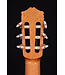 Cordoba C5 with Spruce Top