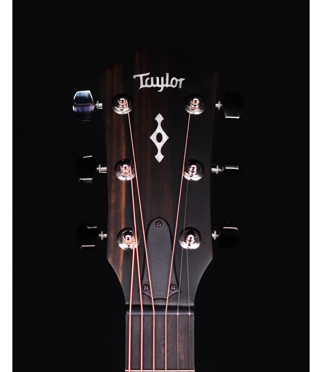 Taylor 314ce Next Generation Acoustic Guitar, Natural