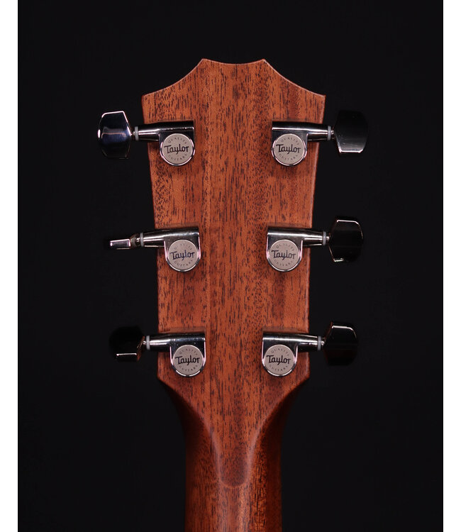 Taylor 314ce Next Generation Acoustic Guitar, Natural