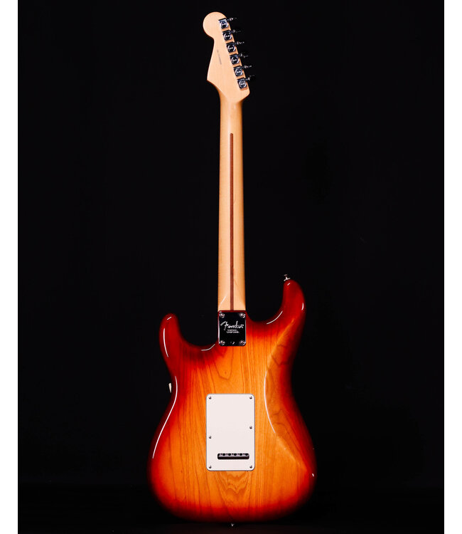 Fender American Professional Stratocaster Sienna Sunburst w/ HSC, 2016 - USED