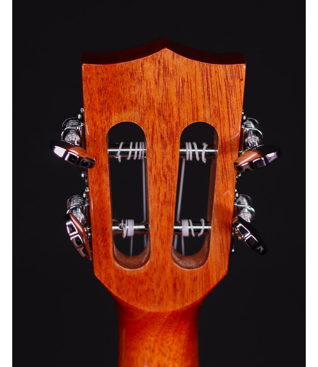 Kala KA-ATP-CTG Solid Cedar Top Tenor Slothead - USED
