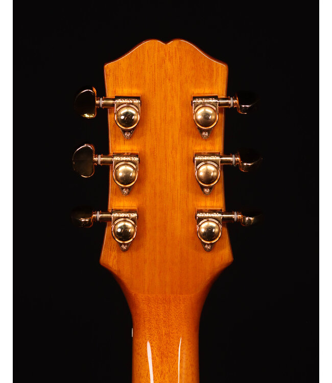 Epiphone Sheraton Hollow-Body Electric, Natural, Includes Premium Gig Bag