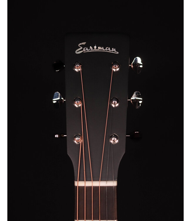Eastman E1D-CLA Acoustic with Bag, Classic