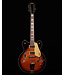 Gretsch G5422G-12 Electromatic Hollow Body 12-String Electric Guitar, Single Barrel Burst