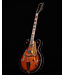 Gretsch G5422G-12 Electromatic Hollow Body 12-String Electric Guitar, Single Barrel Burst