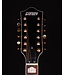 Gretsch G5422G-12 Electromatic Hollow Body 12-String Electric Guitar, Single Barrel Burst