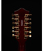 Gretsch G5422G-12 Electromatic Hollow Body 12-String Electric Guitar, Walnut Stain