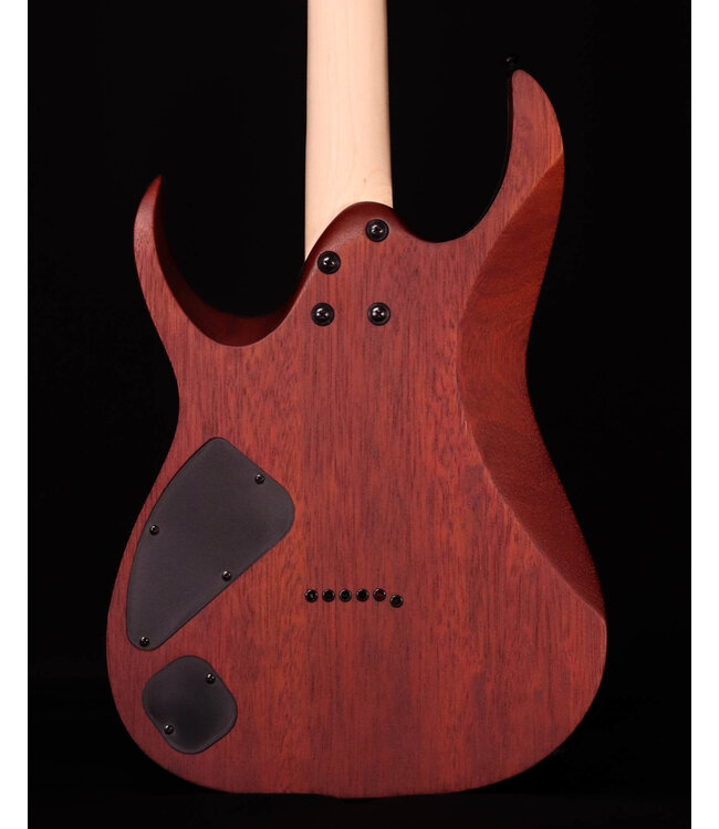 Ibanez RGA42FM Flame Maple Top Electric, Dragon Eye Flat