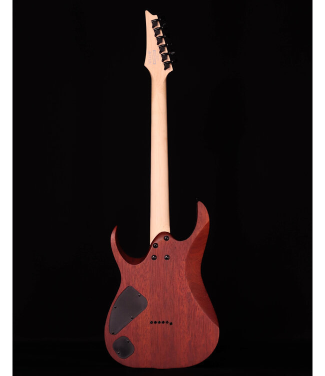 Ibanez RGA42FM Flame Maple Top Electric, Dragon Eye Flat
