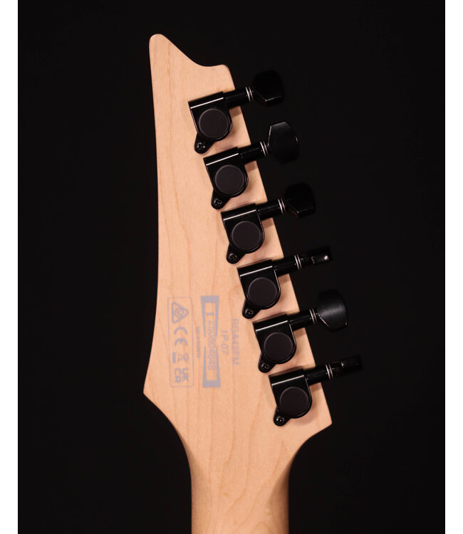 Ibanez RGA42FM Flame Maple Top Electric, Dragon Eye Flat