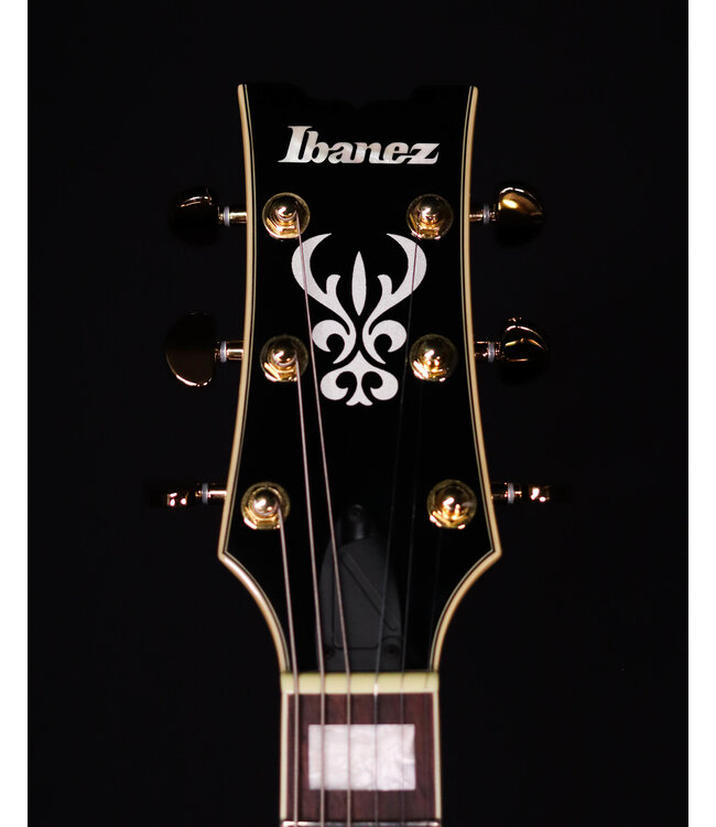 Ibanez AM73GBK Artcore Hollowbody Electric Guitar, Black