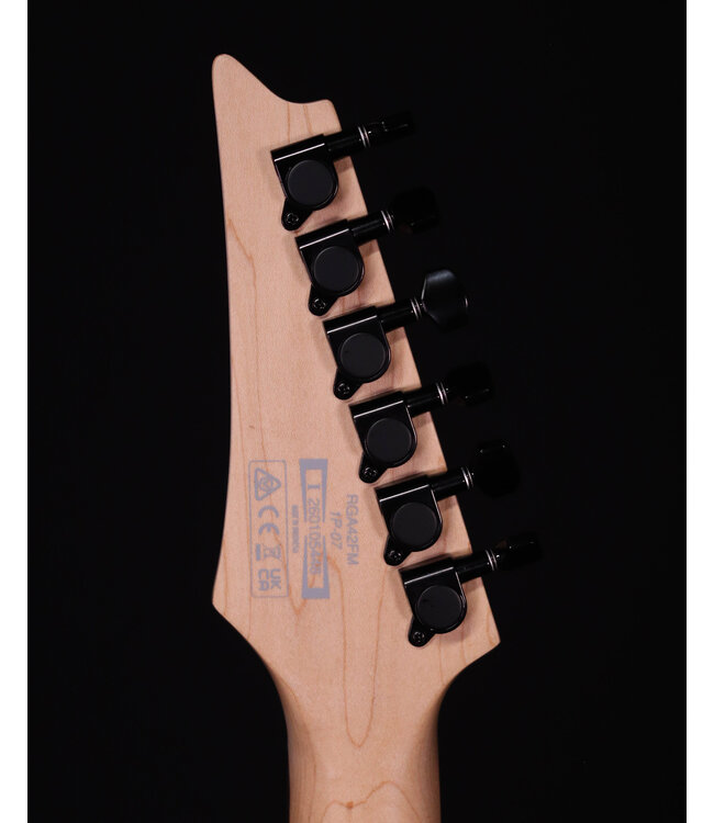 Ibanez RGA42 Flame Maple Top, Mahogany Electric Guitar, Blue Lagoon Burst Flat