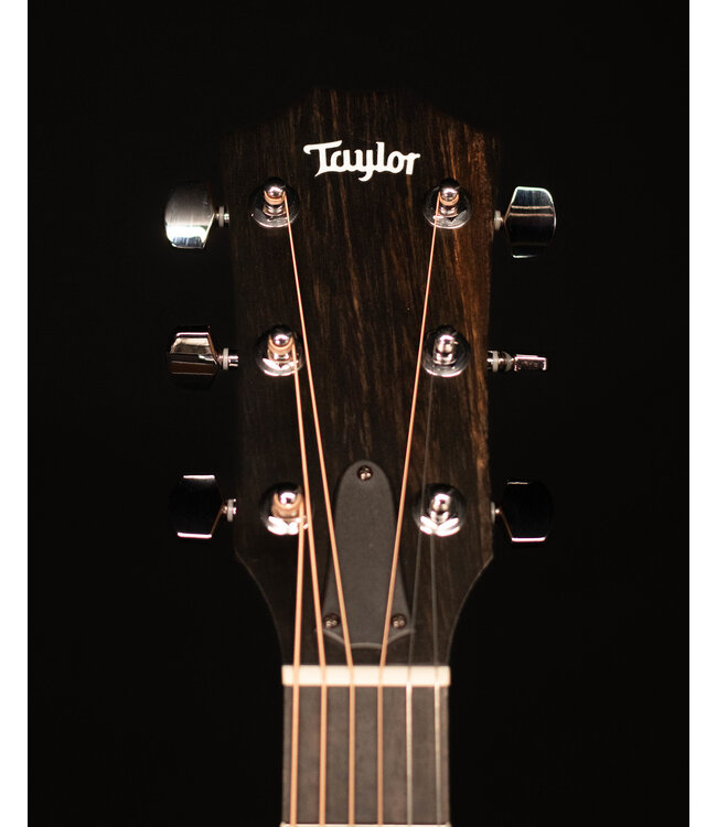 Taylor 214ce Grand Auditorium Acoustic Guitar with Gig Bag