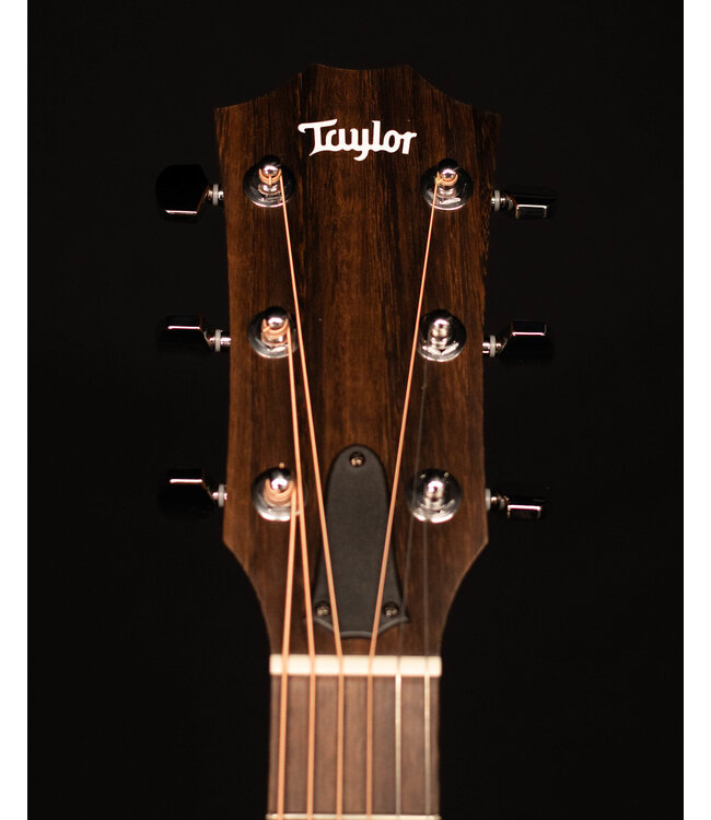 Taylor 110ce, Sapele/Sitka
