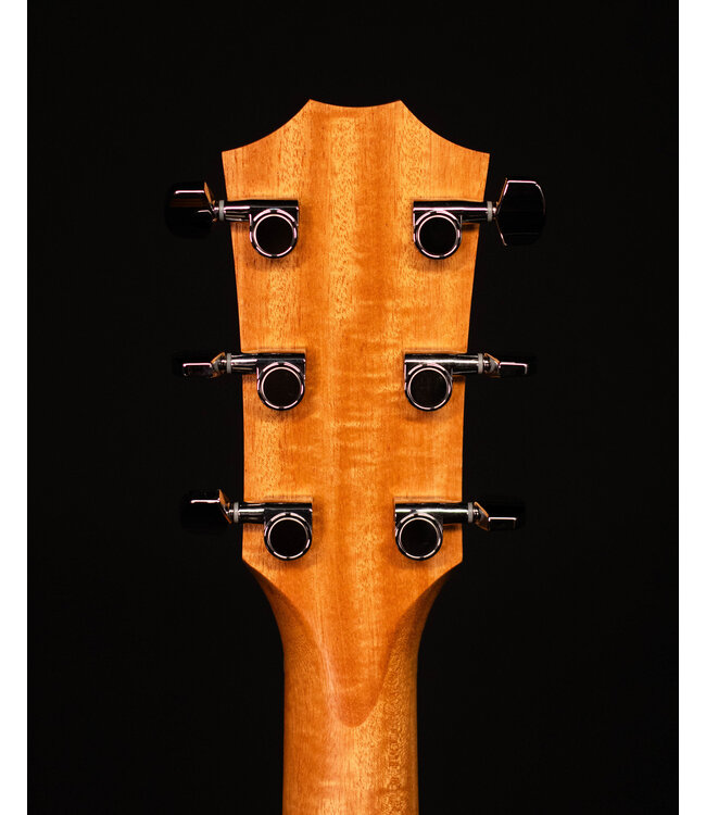 Taylor 110ce, Sapele/Sitka
