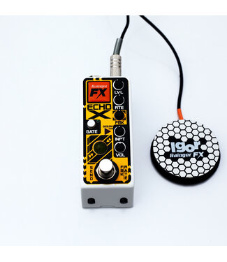Rainger FX Rainger FX Echo-X Digital Delay Mini Pedal (with Igor)