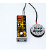 Rainger FX Echo-X Digital Delay Mini Pedal (with Igor)