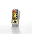 Rainger FX Echo-X Digital Delay Mini Pedal (with Igor)