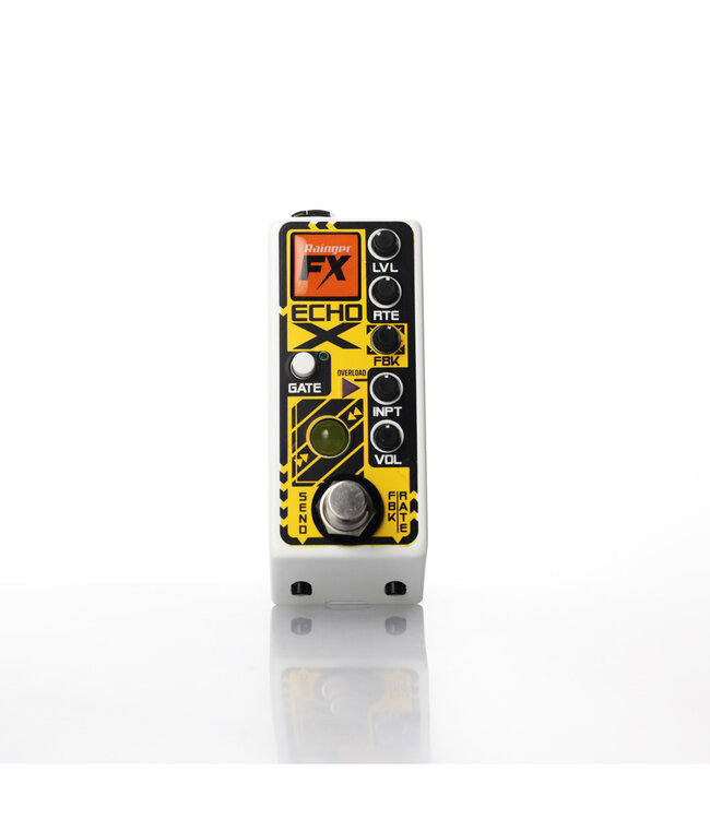 Rainger FX Echo-X Digital Delay Mini Pedal (with Igor)