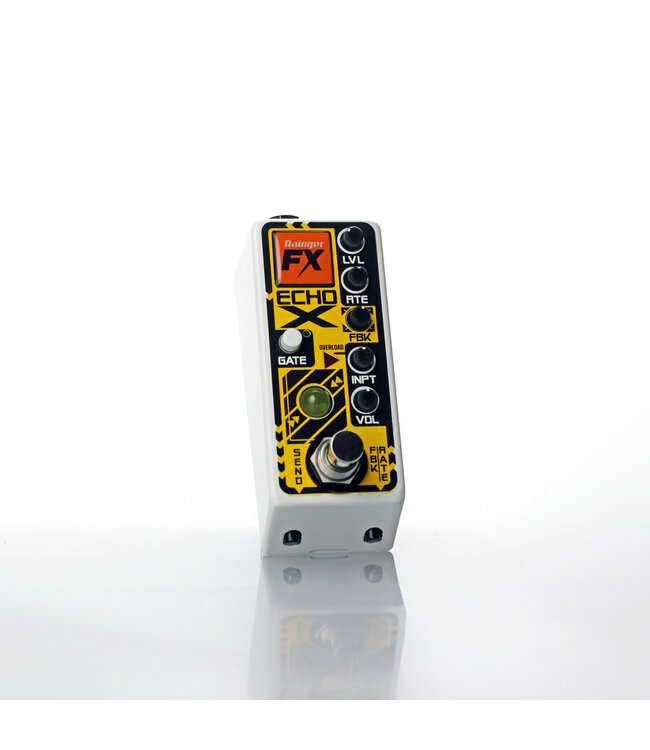 Rainger FX Echo-X Digital Delay Mini Pedal (with Igor)
