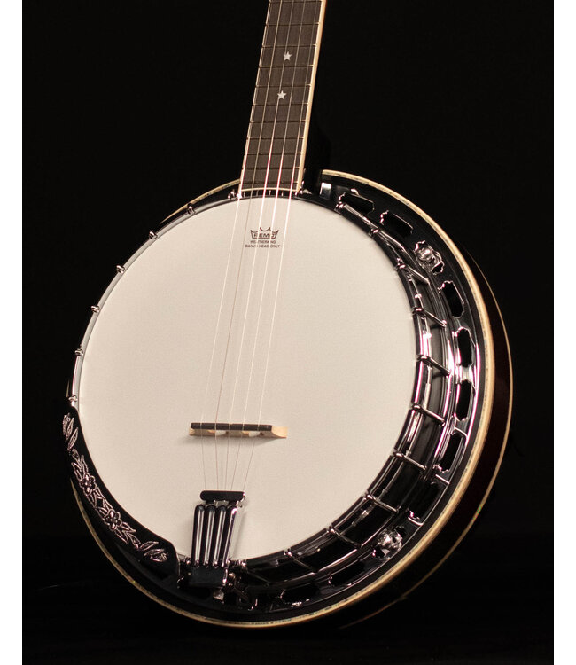 Ibanez BA250 Limited Model Banjo