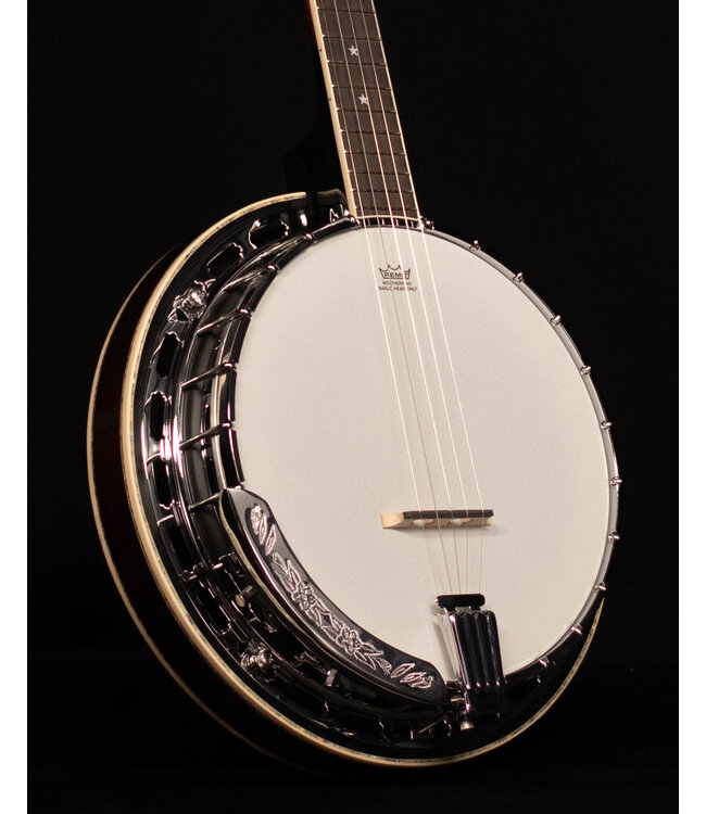 Ibanez BA250 Limited Model Banjo