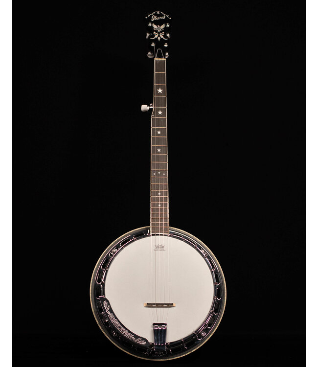 Ibanez BA250 Limited Model Banjo