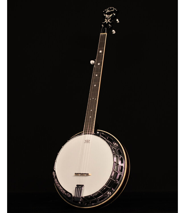Ibanez BA250 Limited Model Banjo