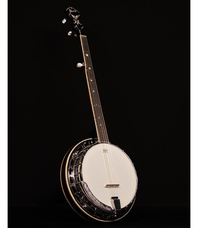 Ibanez BA250 Limited Model Banjo