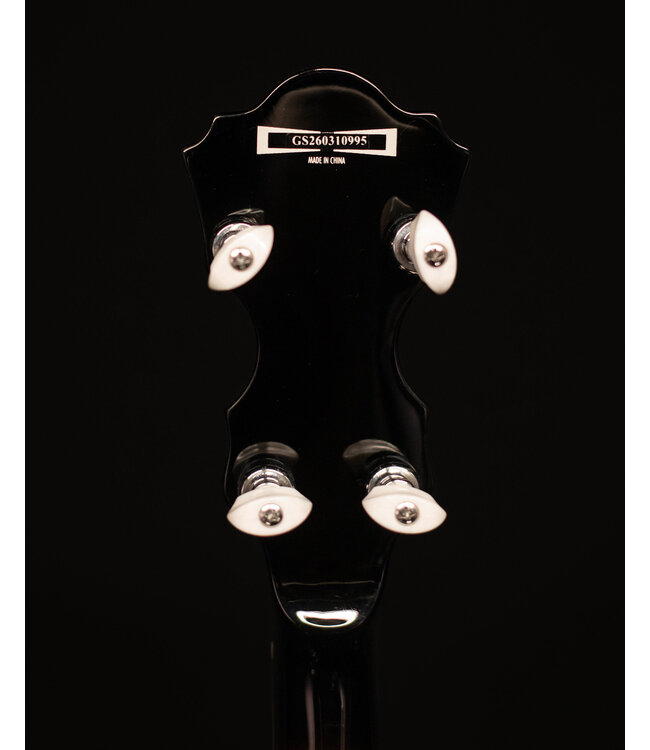 Ibanez BA250 Limited Model Banjo