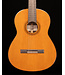 Yamaha CG182C Classical Acoustic Guitar