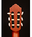 Yamaha CG182C Classical Acoustic Guitar