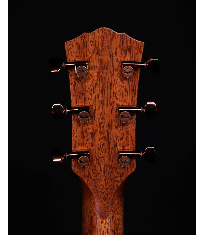 Taylor Ben Harper Gold Label 512e Signature