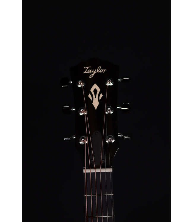 Taylor Gold Label 710e Dreadnought Acoustic Guitar