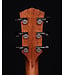 Taylor Gold Label 710e Dreadnought Acoustic Guitar