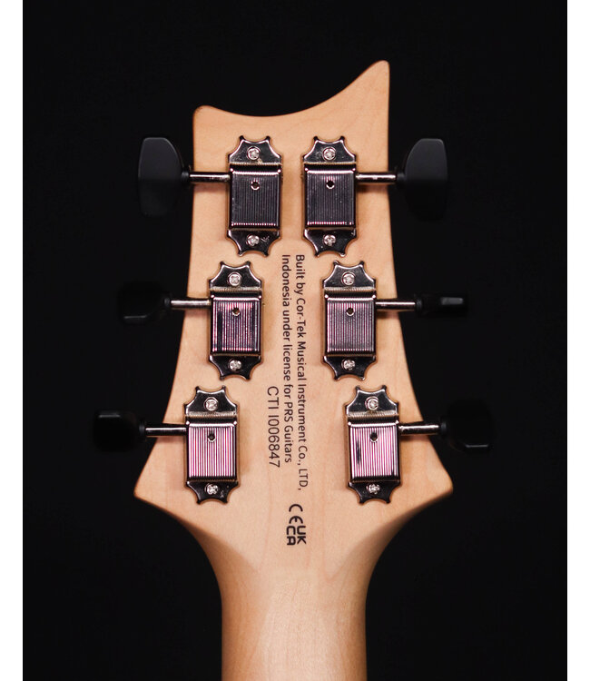PRS SE NF 53, White Doghair