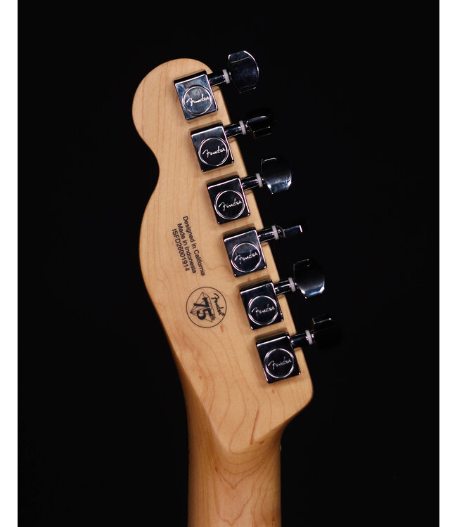 Fender Standard Telecaster, Maple FB, Butterscotch Blonde