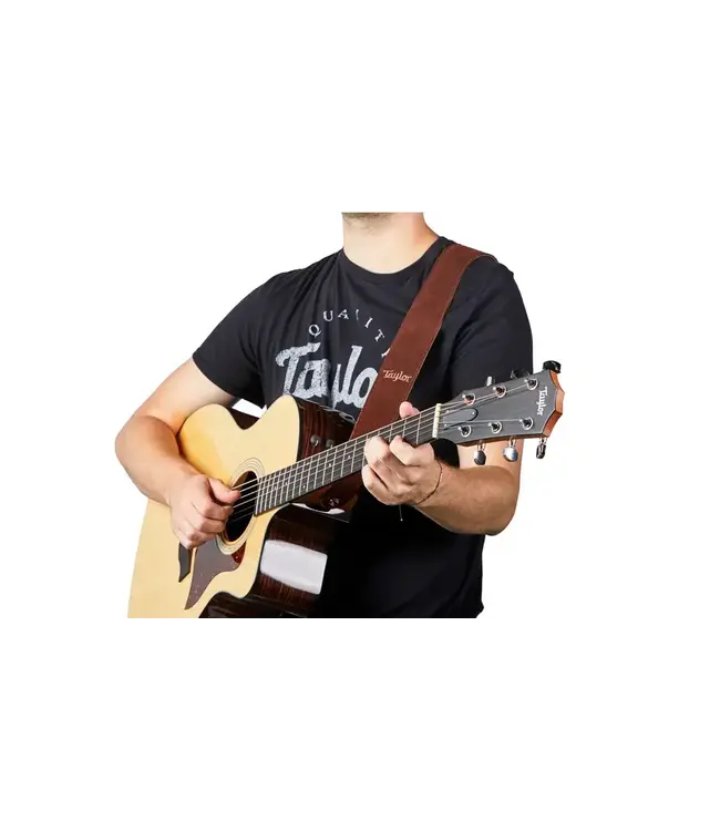 Taylor 2.5" Embroidered Suede Strap, Chocolate