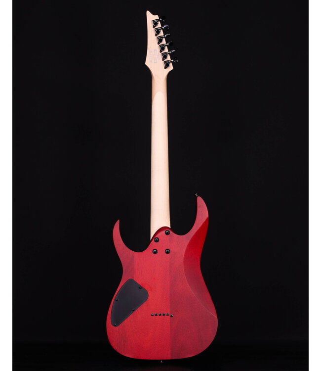 Ibanez RG421PB, Caribbean Shoreline Flat