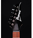 Ibanez RG421PB, Caribbean Shoreline Flat