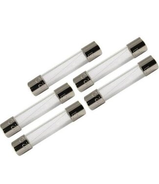 CE Distribution Fuse - 1amp Fast-Blow, 250V, 3AG, 0.25" x 1.25", 5-Pack