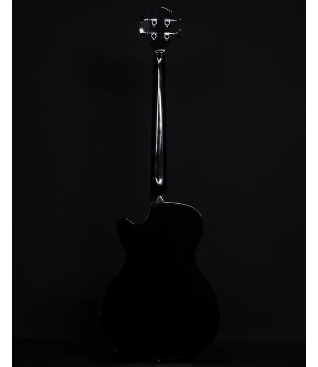 Fender CB-60SCE Bass, Laurel FB, Black