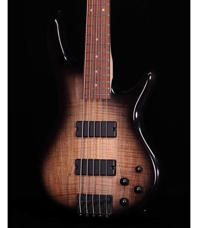 Ibanez GSR205SM 5-String Bass, Spalted Natural Grey Burst