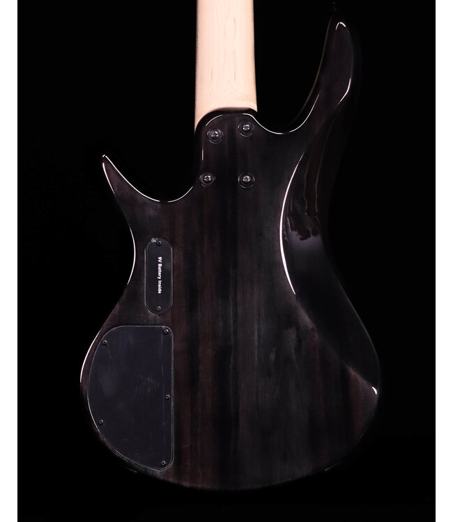 Ibanez GSR205SM 5-String Bass, Spalted Natural Grey Burst