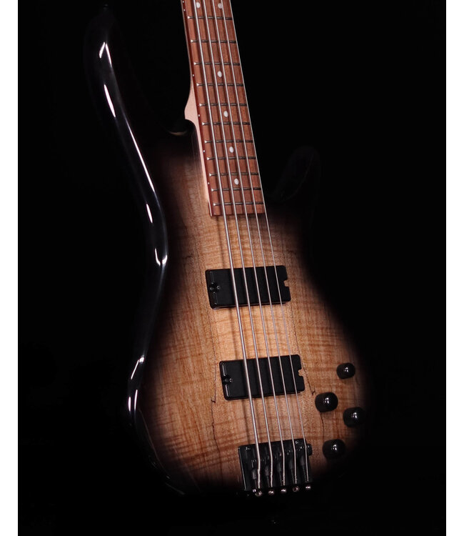 Ibanez GSR205SM 5-String Bass, Spalted Natural Grey Burst