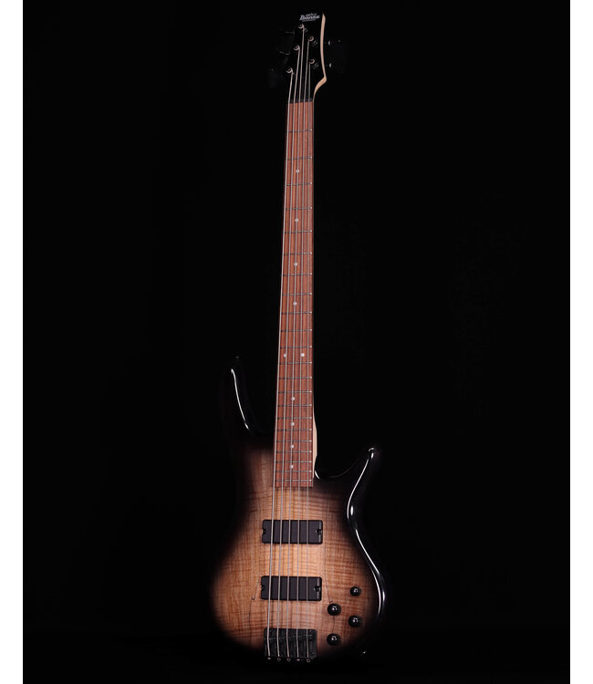 Ibanez GSR205SM 5-String Bass, Spalted Natural Grey Burst