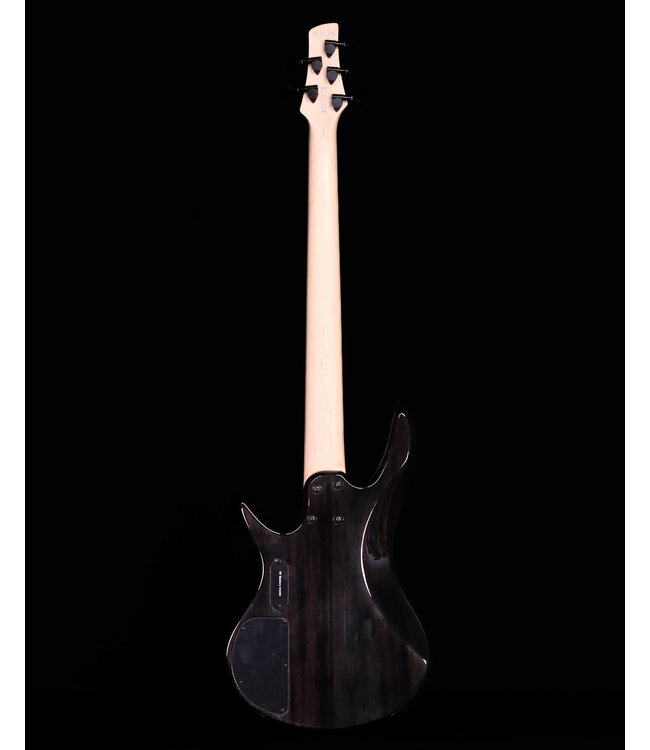 Ibanez GSR205SM 5-String Bass, Spalted Natural Grey Burst