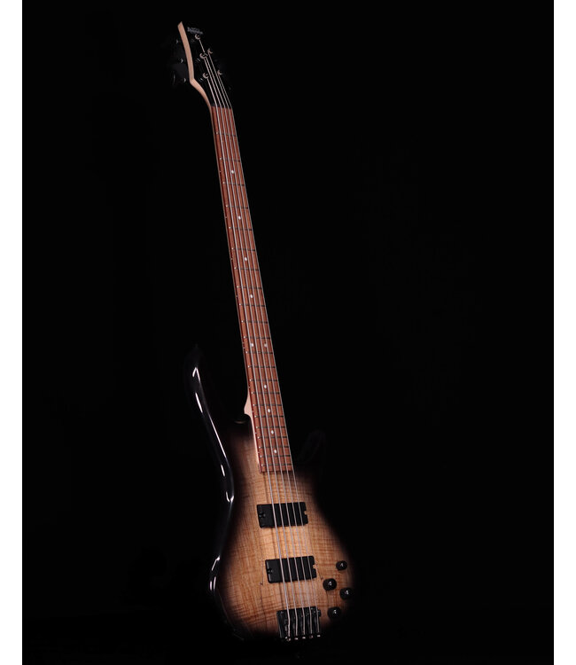 Ibanez GSR205SM 5-String Bass, Spalted Natural Grey Burst